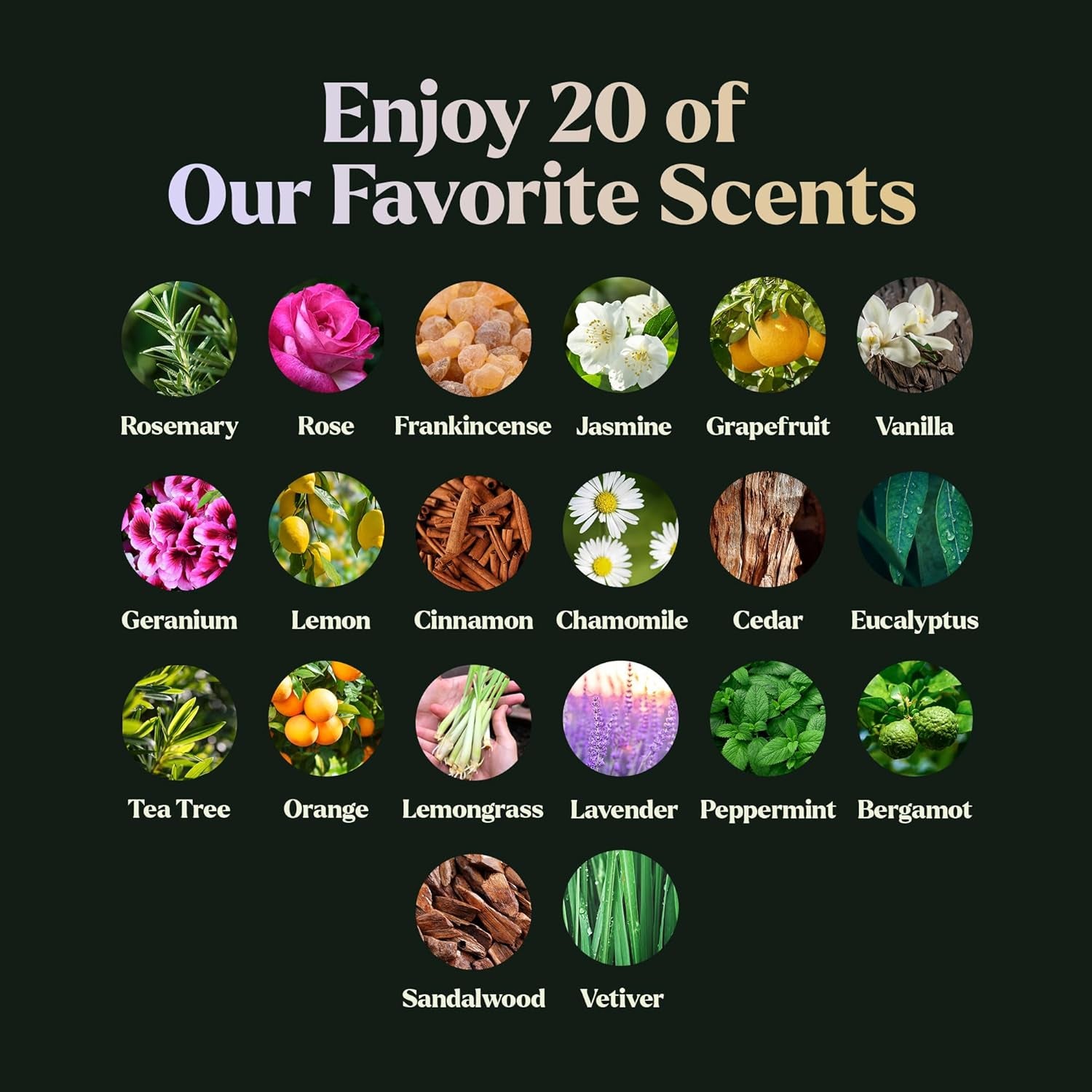 Essential Oils Set, Top 20 Gift Set Oils for Diffusers, Humidifiers, Aromatherapy, Candle Making Scents, Cars & Home Products, Peppermint, Tea Tree, Lavender, Eucalyptus, Lemongrass (10Ml)