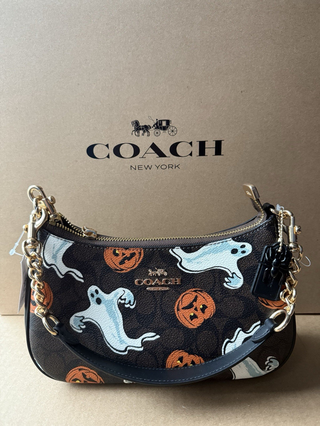 NWT Coach Teri Shoulder Bag in Signature Canvas Pumpkin Halloween Print CCE71