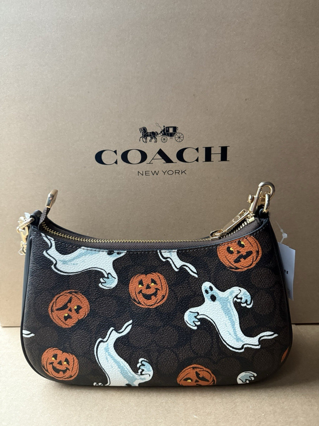 NWT Coach Teri Shoulder Bag in Signature Canvas Pumpkin Halloween Print CCE71